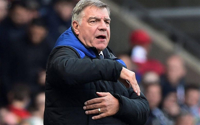 Image for Allardyce believes Ashley wants to sell