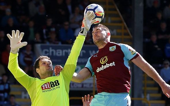 Image for Newcastle must jump ahead of Watford for Vokes