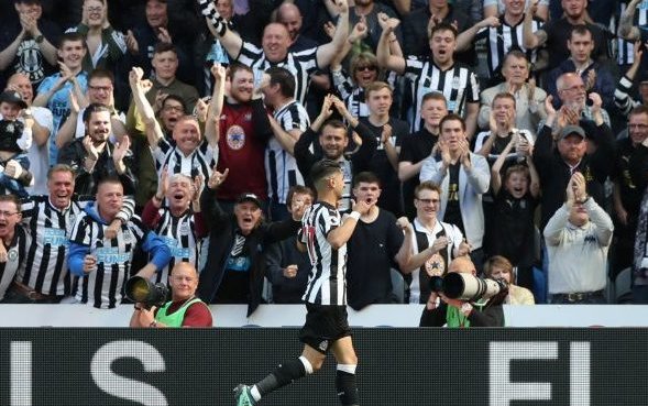 Image for Newcastle fans react to official tweet