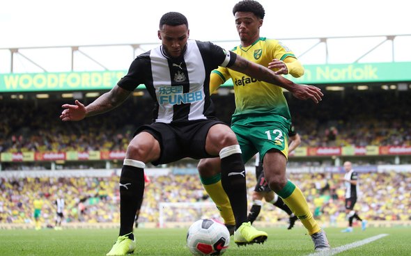 Image for Athletic journalist: I’d sign Lascelles for Tottenham from Newcastle