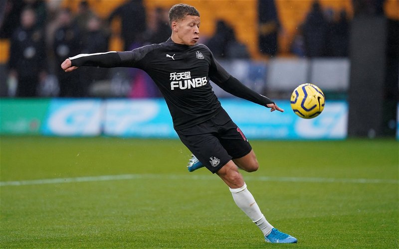 Image for Dwight Gayle: Newcastle United fans can’t believe reported £20m price tag