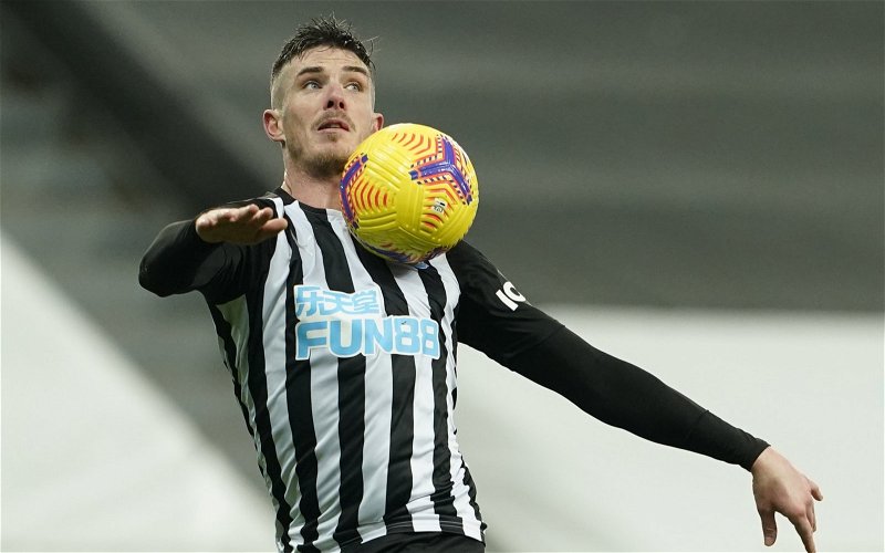 Image for Clark: Newcastle ‘Weren’t Up’ for Brighton Game