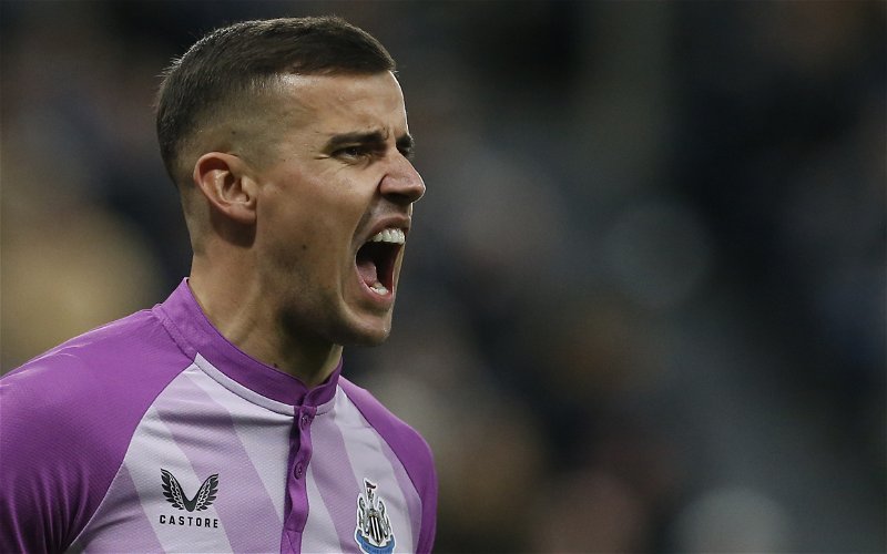 Image for Karl Darlow: Steve Bruce’s West Brom could land Newcastle amid goalkeeper upgrade